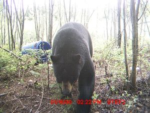 My beautiful picture