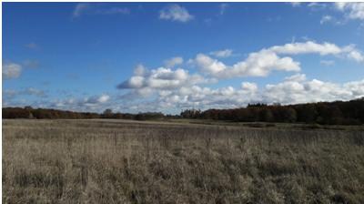 chambord-2016-arnaud-1