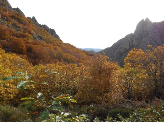 caroux 2017 berland paysage 3