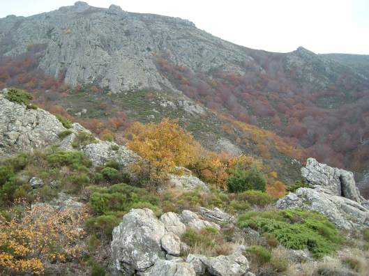caroux 2017 berland paysage