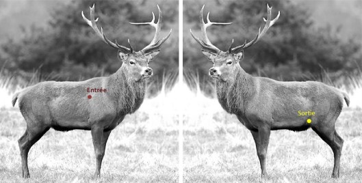 Alexis Cerf note technique